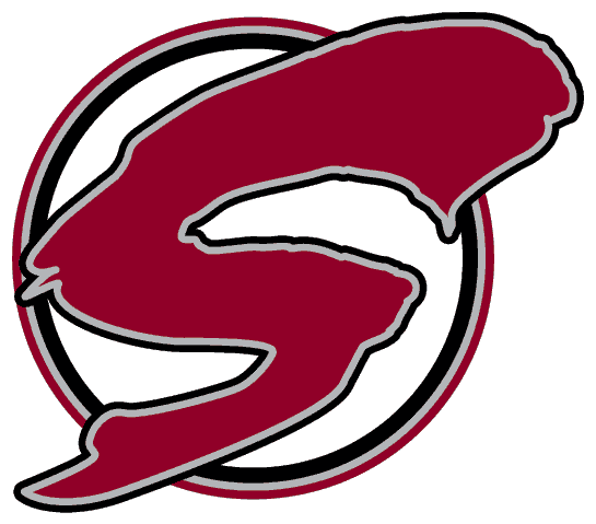 Guelph Storm 1997-2007 Alternate Logo iron on transfers for T-shirts